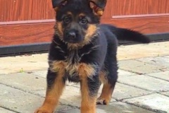 VideoCapture_20220608-115652