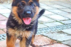 VideoCapture_20220608-115849