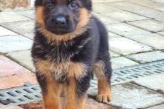 VideoCapture_20220608-115911