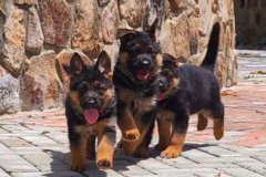 VideoCapture_20220612-132725