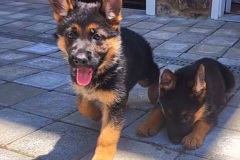 VideoCapture_20220619-134419