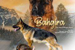 273063369_1045905199604758_8767573449953685271_n