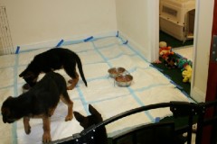 living-accomodations-3