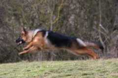 IMG-20210514-WA00031