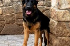 20220217_193919-e1645203477563