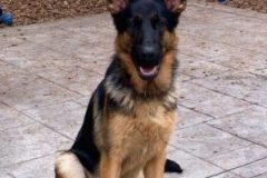 20220217_144437-scaled-e1645203650631