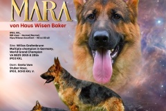 262709043_956574045297821_9152290801252328694_n