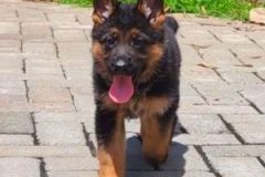 VideoCapture_20220612-132245-e1655056439358