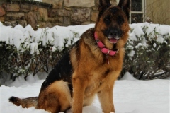 IMG_8080_1280x1144-1