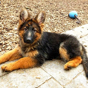 kyle-profile-300x300