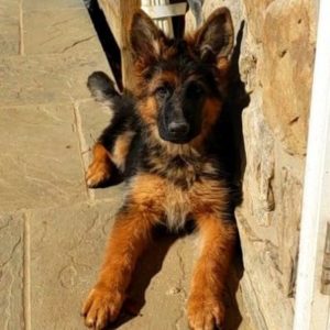 20211101_1536053-e1643260457657[1]