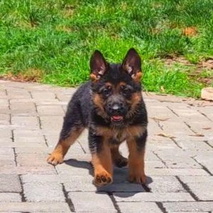 Milena - born 4-30-22